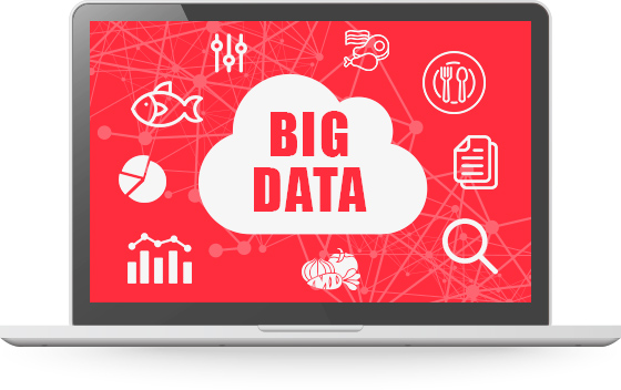 BIG DATA