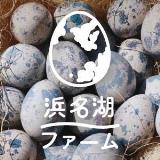 発酵餌で元気に育ったうずら卵の生産、うずらの卵の加工品販売　有機肥料販売